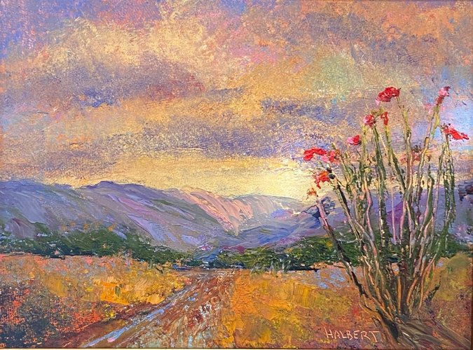 Ocotillo Stormy Skies (Gift-2022) Large Image