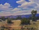 View Recent Work