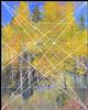 Aspen Season II Dynamic Symmetry Small Image