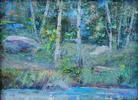 Aspen Woodlands (sold 2017) Small Image