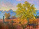 Blowing in the WInd - Palo Verde (sold 2021) Small Image
