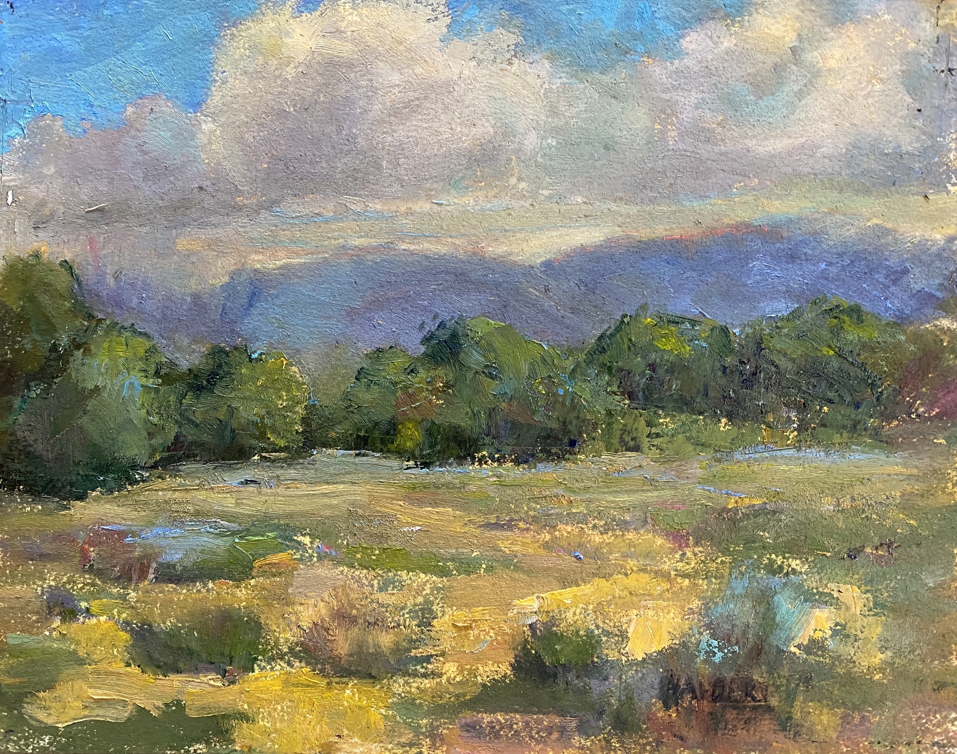 /images/art/halbert_taos_meadow_13x15_oil_lg.jpg