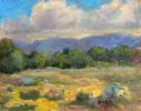 Taos Meadow  - LCCF 2023 Small Image