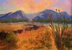 Ocotillo Sunset Small Image