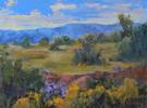 New Mexico Vista (sold 2012)  Small Image