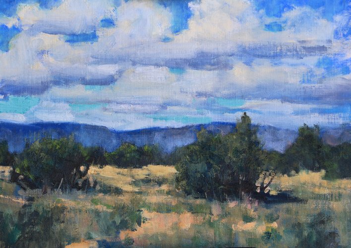 New Mexico Land  (sold 2014) Large Image