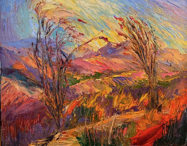 Ocotillo Van Gogh (gift) Large Image