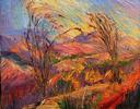 Ocotillo Van Gogh (gift) Small Image