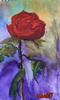 Rose (gift) Small Image