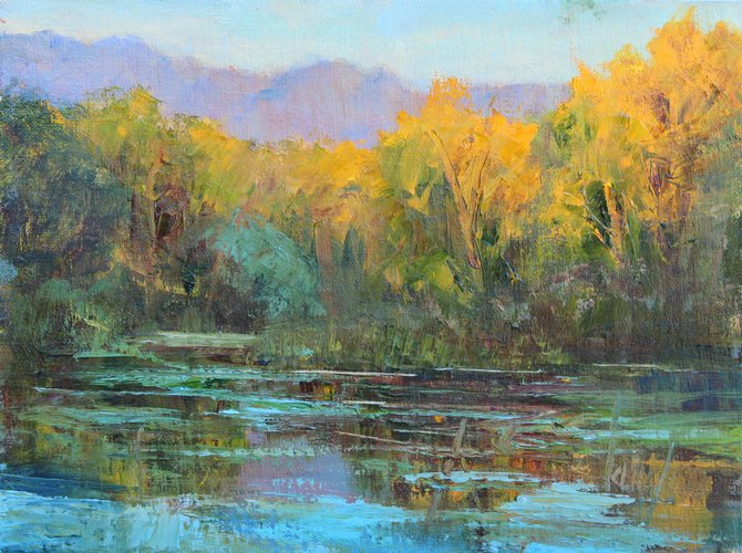 Shady Lakes (sold 2013)  Large Image