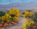 Back from the Desert (LCCF 2016) Small Image