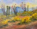 Desert Spring Picacho Peak Tucson V1 Small Image