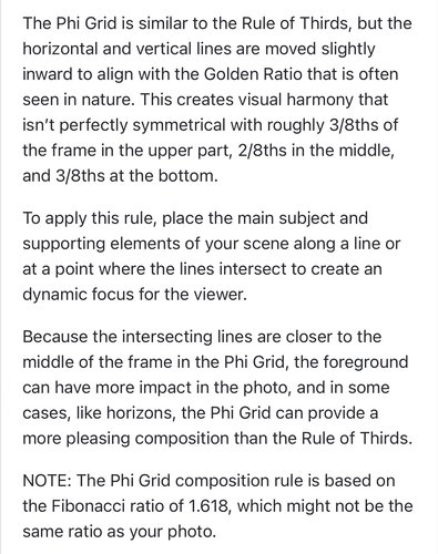 PHI Description Large Image